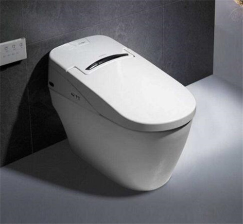 智能馬桶相比傳統(tǒng)的馬桶有什么優(yōu)勢(shì)可言?