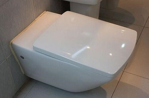 掛墻式馬桶怎么樣，掛墻式馬桶特點(diǎn)有哪些?