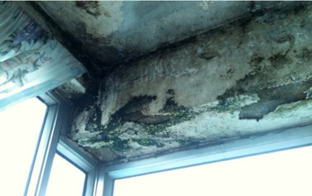 墻面發(fā)霉的原因是什么，墻壁發(fā)霉的危害?